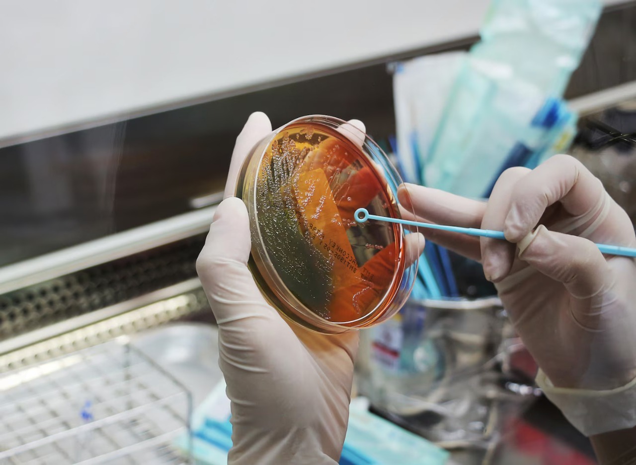 Microbiology Testing